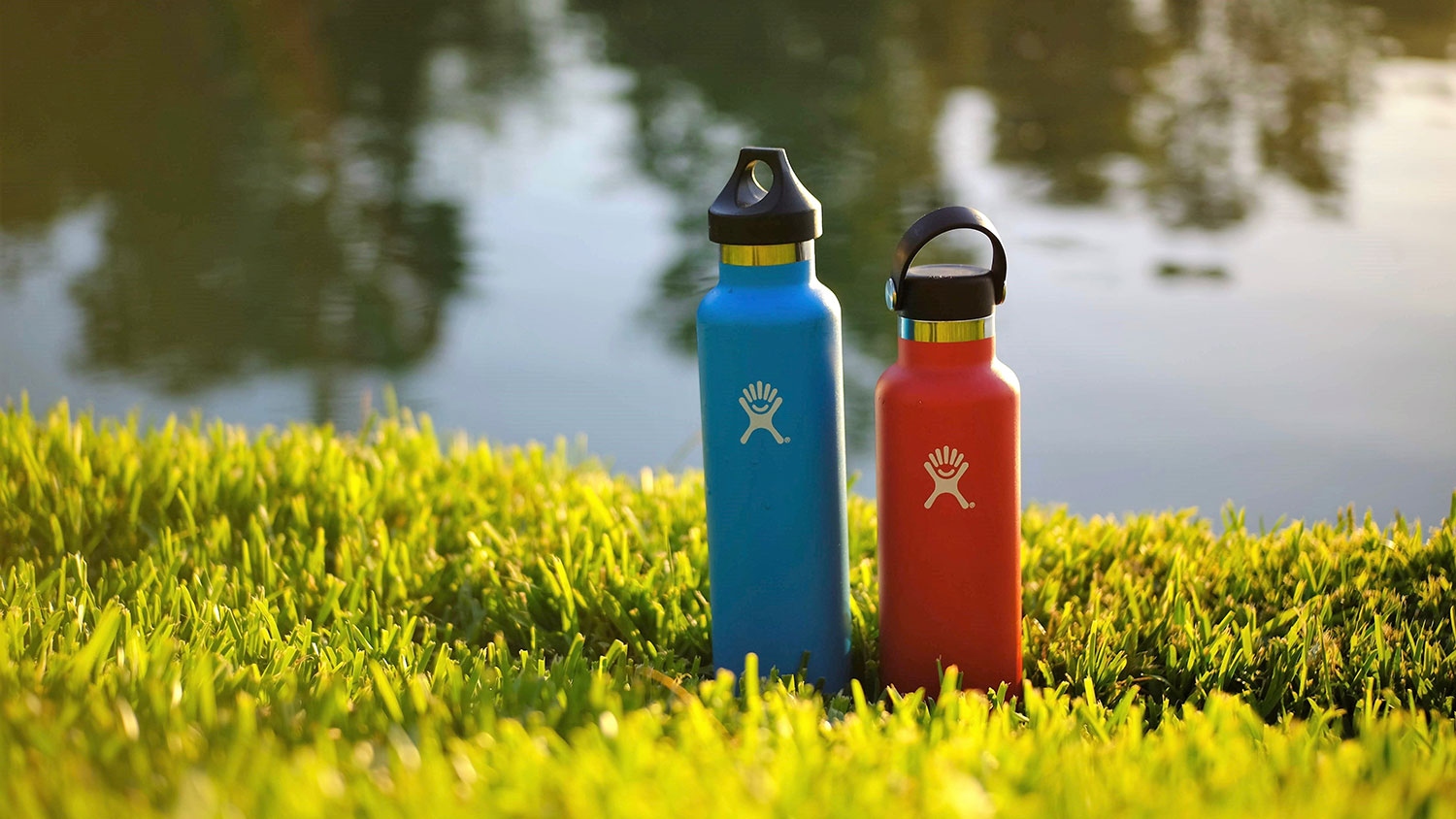 Eco Friendly Reusable Water Bottle • Environmental Nonprofit Organization